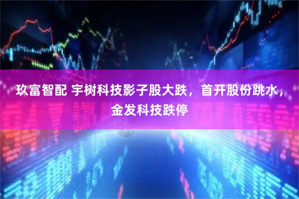 玖富智配 宇树科技影子股大跌，首开股份跳水，金发科技跌停