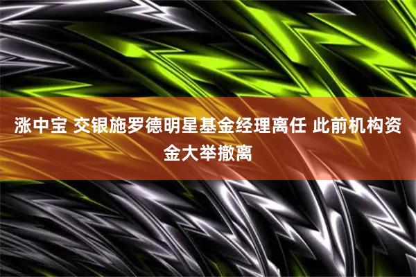 涨中宝 交银施罗德明星基金经理离任 此前机构资金大举撤离