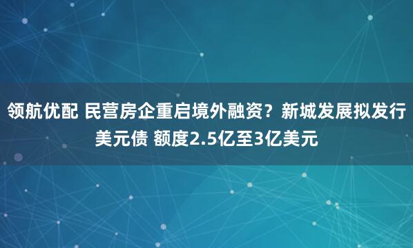 领航优配 民营房企重启境外融资？新城发展拟发行美元债 额度2.5亿至3亿美元