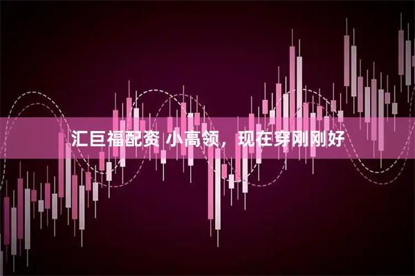 汇巨福配资 小高领，现在穿刚刚好