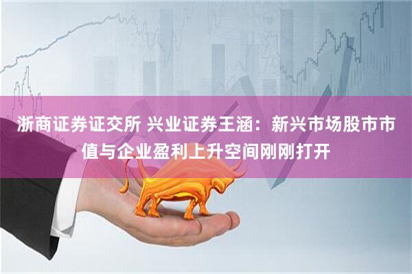 浙商证券证交所 兴业证券王涵：新兴市场股市市值与企业盈利上升空间刚刚打开