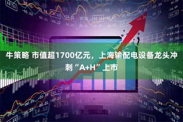 牛策略 市值超1700亿元，上海输配电设备龙头冲刺“A+H”上市