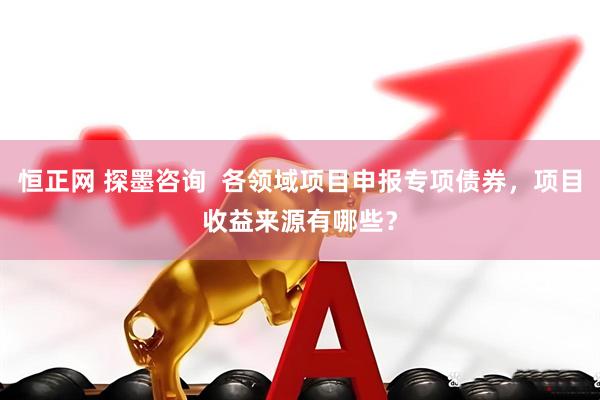 恒正网 探墨咨询  各领域项目申报专项债券，项目收益来源有哪些？